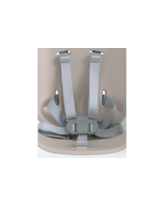 5pt Buckle & Harness -  Light Grey - Chestnut