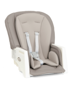 Seat Fabric and Insert Set  - Multiply - Walnut Wood